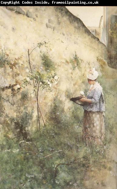 Carl Larsson The Old Wall